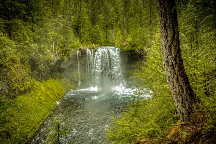 Framed Print : USA, Oregon, McKenzie River. Koosah Falls landscape. Credit as Fred Lord  /  Jaynes Gallery