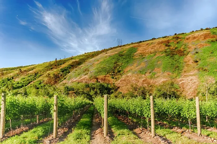 Framed Print : USA, Oregon, Milton-Freewater. Resurgent Vineyard is part of the expanding Rocks district in the Walla Walla AVA. Table and chairs await guests. (Editorial Use Only)