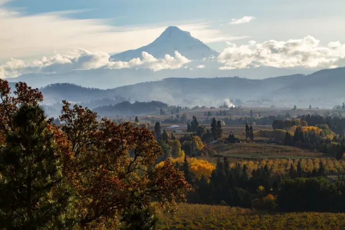 Framed Print : USA, Oregon. Mount Hood autumn landscape scenery Framed Print : USA, Oregon. Mount Hood autumn landscape scenery