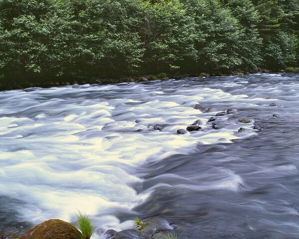 USA, Oregon, Mount Hood National Forest. Upper reaches of the Clackamas River