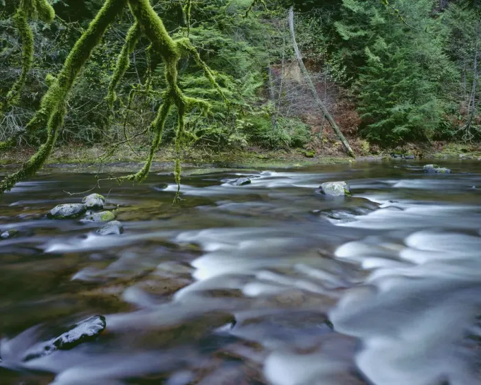 Framed Print : USA, Oregon, Mount Hood National Forest. Salmon-Huckleberry Wilderness, Salmon River