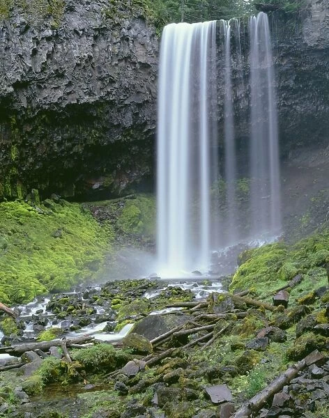 USA, Oregon, Mount Hood National Forest. Tamanawas Falls with moss-covered rocks