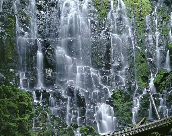 USA, Oregon, Mount Hood National Forest. Mount Hood Wilderness, Ramona Falls is formed