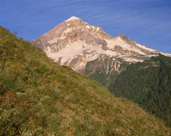 Framed Print : USA, Oregon, Mount Hood National Forest. Mount Hood Wilderness, West side of Mount Hood Framed Print : USA, Oregon, Mount Hood National Forest. Mount Hood Wilderness, West side of Mount Hood