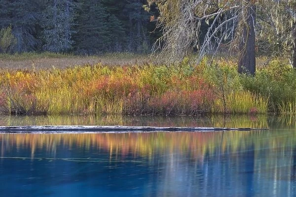USA, Oregon, Mount Hood National Forest. Fall reflections on Little Crater Lake