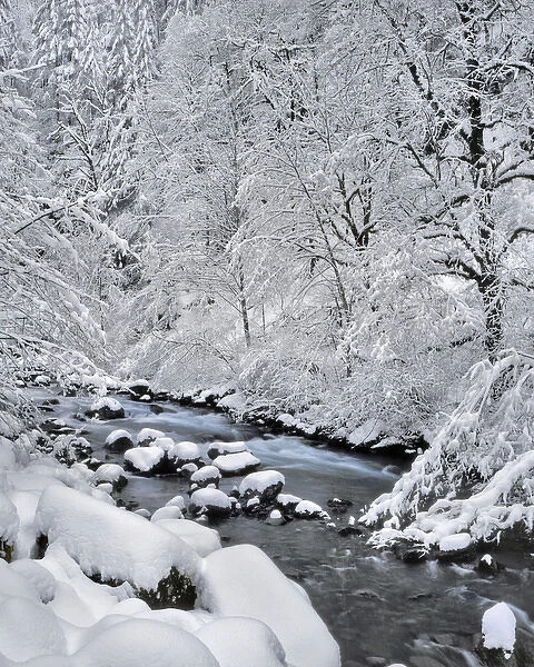 USA, Oregon, Mt Hood National Forest. Snow on Boulder Creek