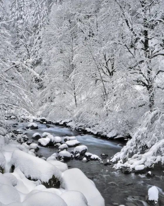 Framed Print : USA, Oregon, Mt Hood National Forest. Snow on Boulder Creek