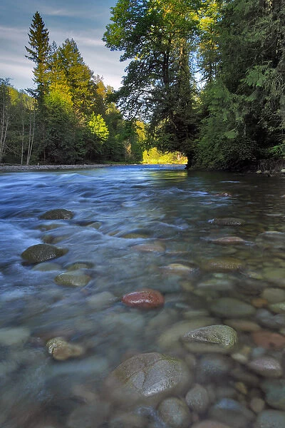 USA, Oregon, Mt Hood National Forest. Sandy River landscape