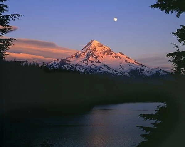 USA, Oregon, Mt Hood. Sunset casts a salmon and indigo wash on Lost Lake and picturesque Mt Hood