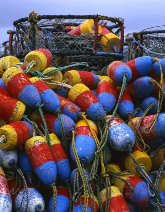 Framed Print : USA, Oregon, Newport. Crab rings and floats on dock Framed Print : USA, Oregon, Newport. Crab rings and floats on dock