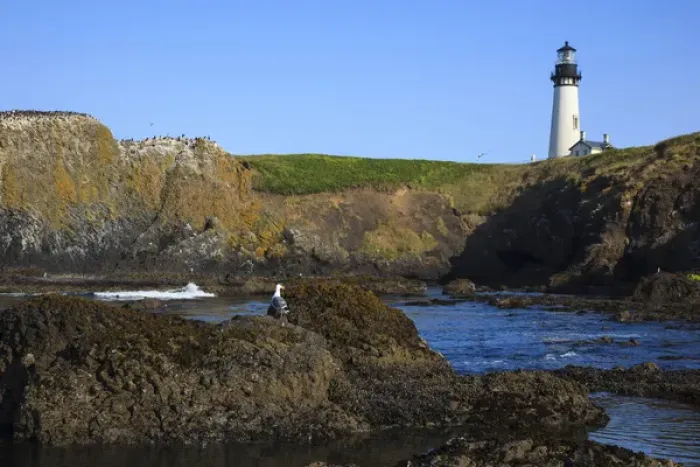 Framed Print : USA, Oregon, Newport, Yaquina Head, NLCS, the Yaquina Head Lighthouse