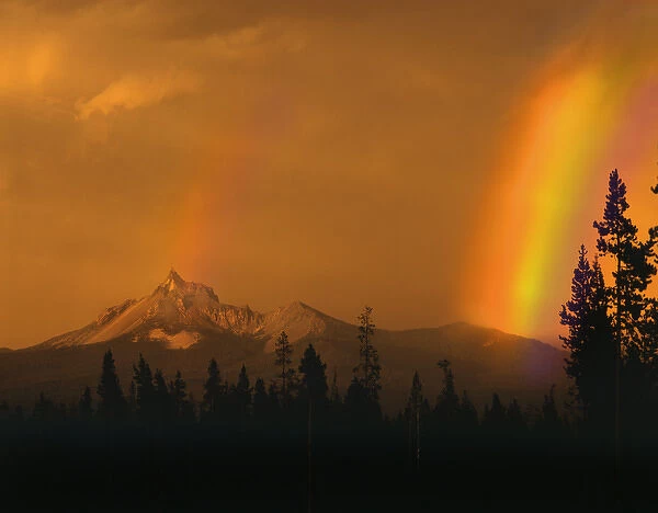 USA, Oregon, Oregon Cascades Recreation Area, Evening sun and passing rainstorm creates
