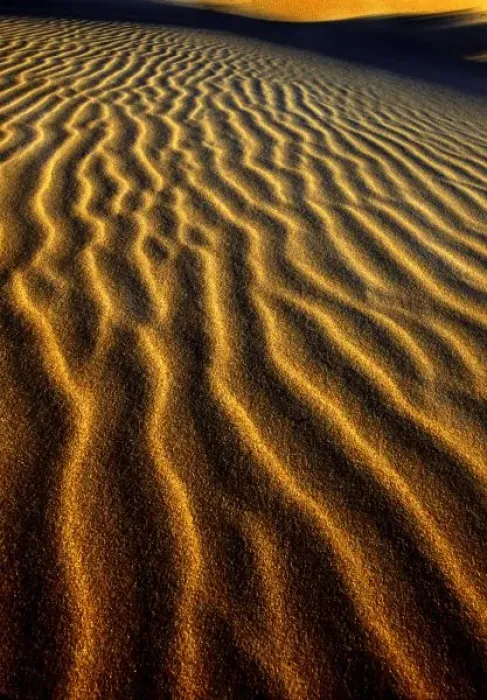 Framed Print : USA, Oregon, Oregon Dunes National Recreation Area. Dune pattern abstract Framed Print : USA, Oregon, Oregon Dunes National Recreation Area. Dune pattern abstract