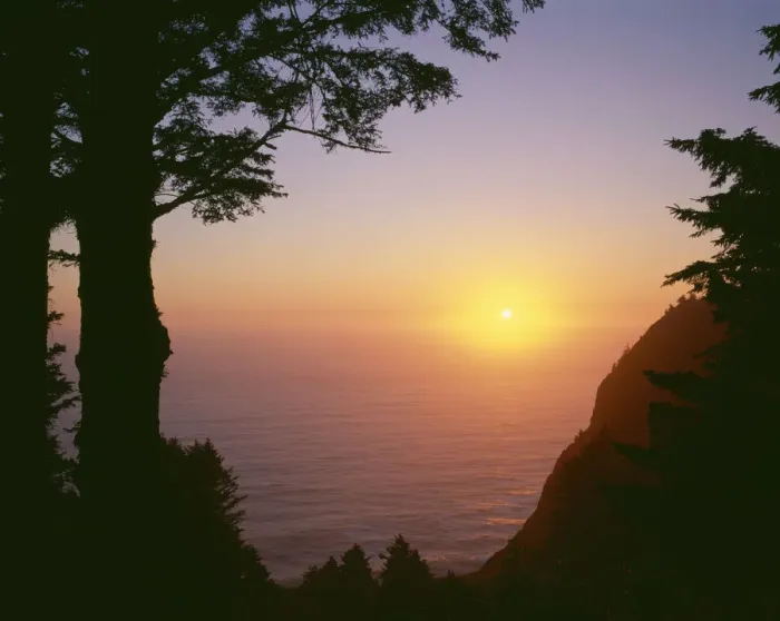 Framed Print : USA, Oregon. Oswald West State Park, summer sunset viewed from below Neahkanie Mountain Framed Print : USA, Oregon. Oswald West State Park, summer sunset viewed from below Neahkanie Mountain