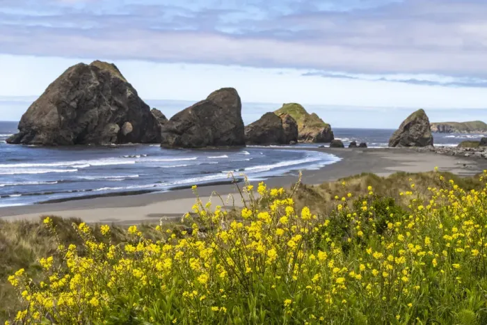 Framed Print : USA, Oregon. Pistol River Beach and sea stacks