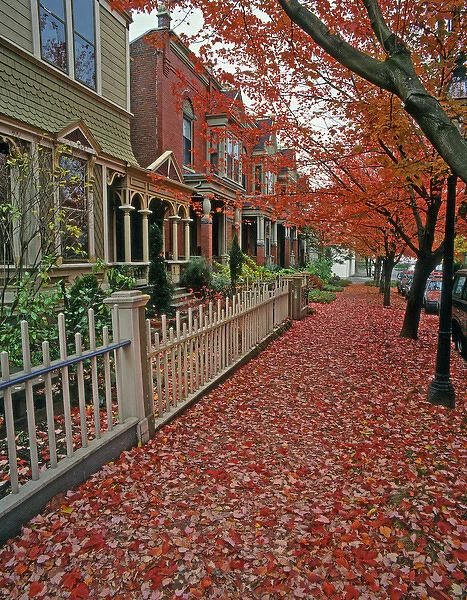 USA, Oregon, Portland. Autumn leaves litter sidewalk along row houses. Credit as