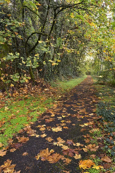 USA, Oregon, Portland. Bike path in Macleay Park