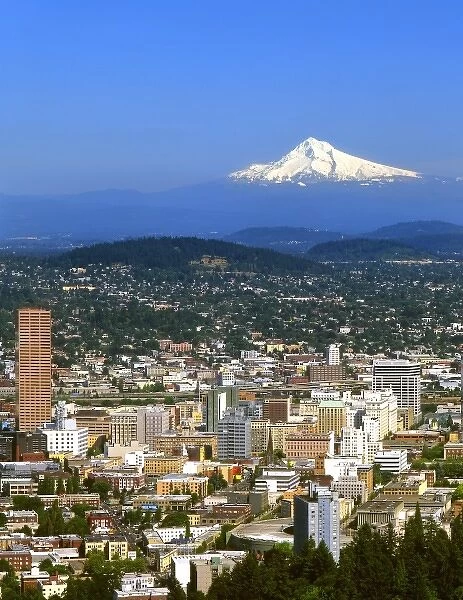 USA, Oregon, Portland. City skyline & Mt. Hood viewed from the Pittock Mansion