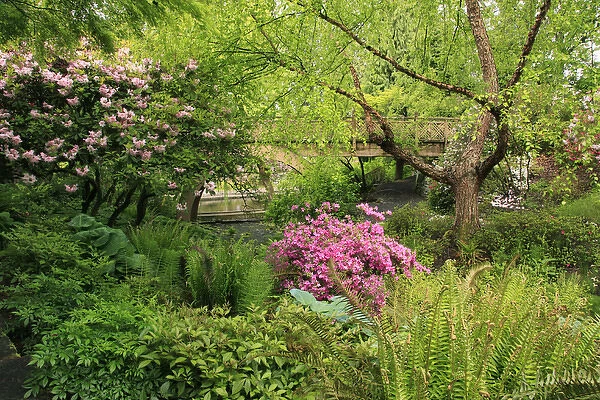 USA, Oregon, Portland. Crystal Springs Rhododendron Garden scenic