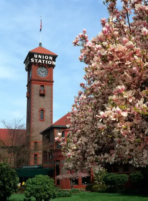 Framed Print : USA, Oregon, Portland, Flowering tree outside the historic Union Station Framed Print : USA, Oregon, Portland, Flowering tree outside the historic Union Station