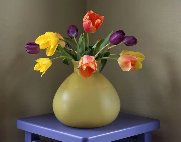 USA, Oregon, Portland. Fresh-cut tulips in antique glass vase