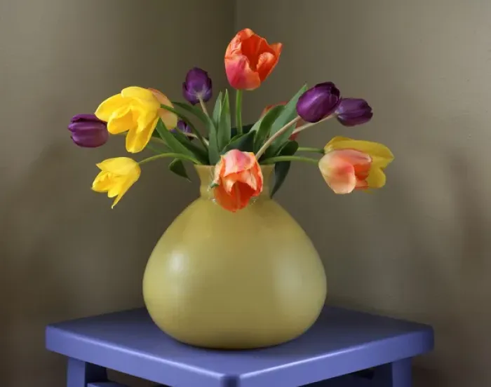 Framed Print : USA, Oregon, Portland. Fresh-cut tulips in antique glass vase