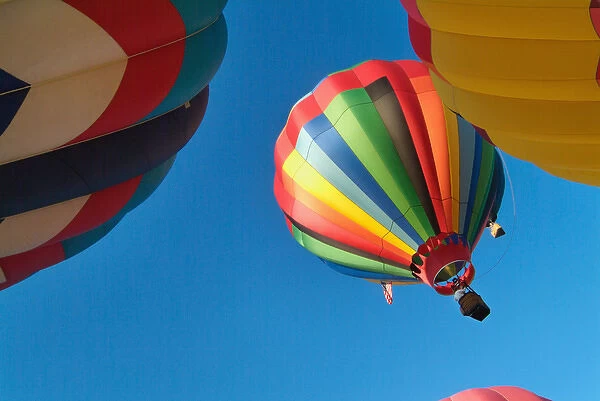USA, Oregon, Portland, Hot air balloons at the Tigard Festival of Balloons in Cook Park