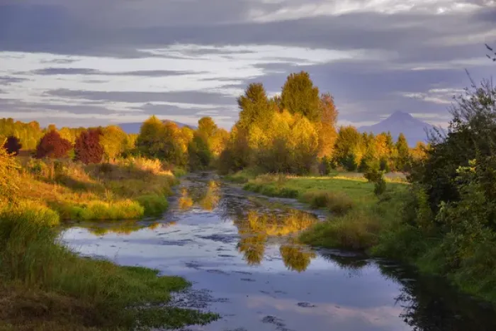 Framed Print : USA, Oregon, Portland. Mt Hood and Columbia River Slough at sunset Framed Print : USA, Oregon, Portland. Mt Hood and Columbia River Slough at sunset