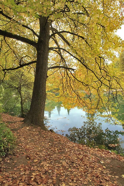 USA, Oregon, Portland. Pond at Laurelhurst Park