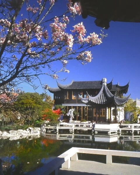 USA, Oregon, Portland. View of Chinese Classical Garden in springtime