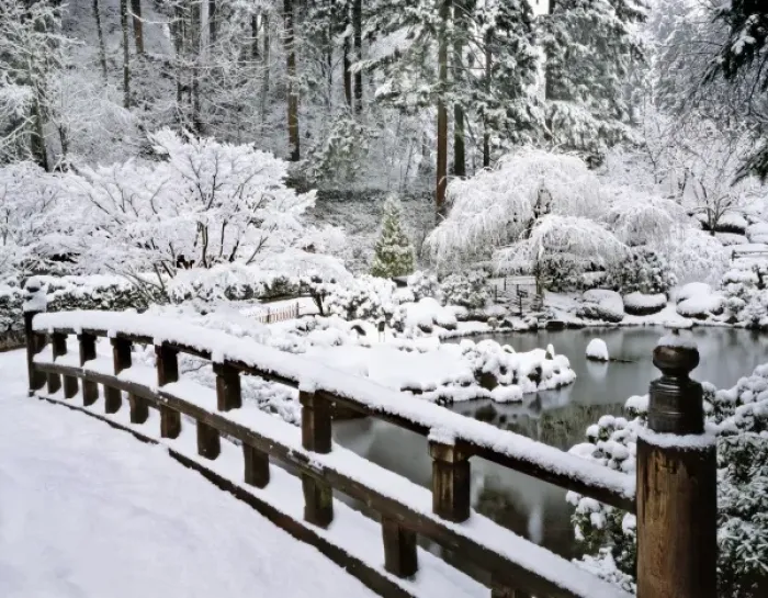 Framed Print : USA, Oregon, Portland. Winter snowfall on the Japanese Garden Framed Print : USA, Oregon, Portland. Winter snowfall on the Japanese Garden