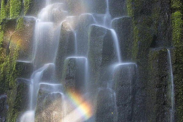 USA, Oregon, Proxy Falls. Waterfall rainbow over basalt columns