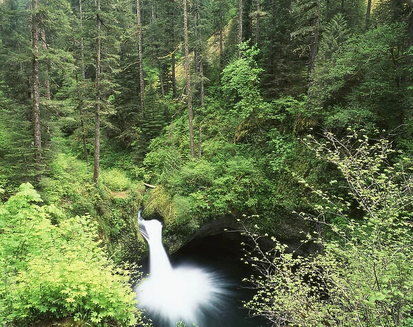 USA, Oregon, Punch Bowl Falls, Columbia River Gorge National Scenic Area