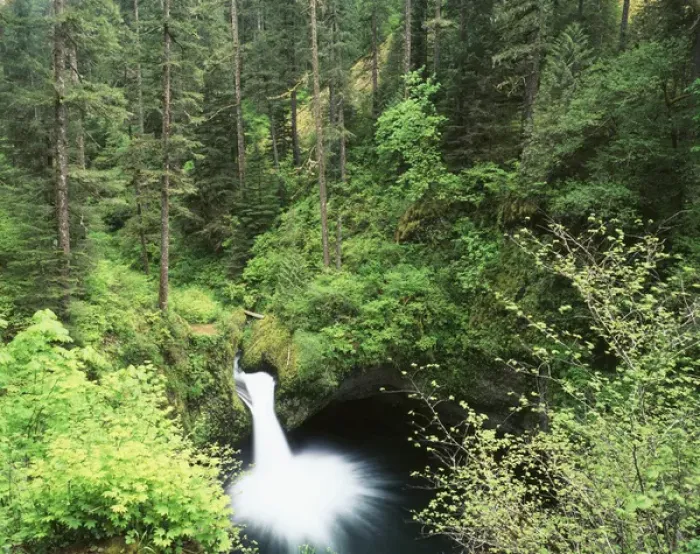 Framed Print : USA, Oregon, Punch Bowl Falls, Columbia River Gorge National Scenic Area Framed Print : USA, Oregon, Punch Bowl Falls, Columbia River Gorge National Scenic Area