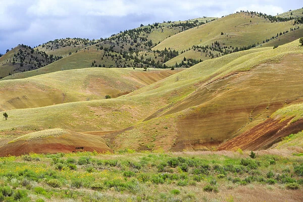 USA, Oregon, Redmond, Bend, Mitchell. Series of low clay hills striped in colorful