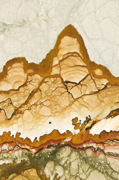 USA, Oregon, Rocky Butte. Close-up of picture jasper stone