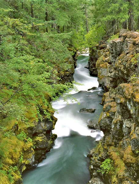 USA, Oregon, Rogue River National Forest. Rogue River Gorge landscape
