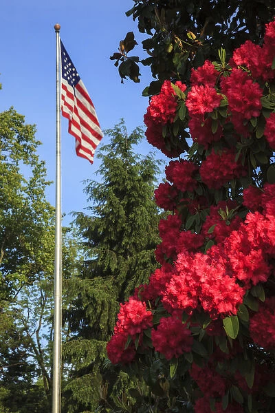 USA, Oregon, Salem, State Capitol, Azaleas and US flag