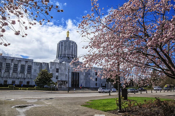 USA, Oregon, Salem, state capitol and Cherry Blossoms