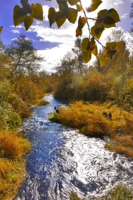 Framed Print : USA, Oregon. Scenic of Dieckman Creek. Credit as: Steve Terrill  /  Jaynes Gallery  /  DanitaDelimont