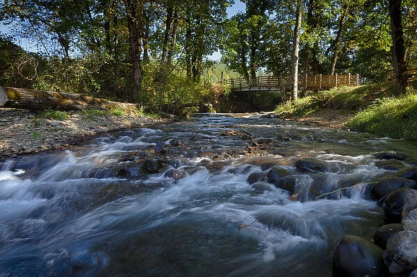 USA, Oregon, Scio, Crabtree Creek in early Autumn, from Larwood Wayside. Digital Composite