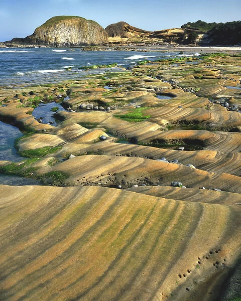 USA, Oregon, Seal Rock Sate Park. Patterns on sandstone rock