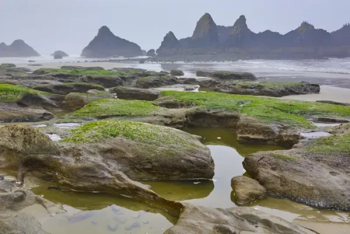 Framed Print : USA, Oregon, Seal Rock State Park. Rocky beach at low tide Framed Print : USA, Oregon, Seal Rock State Park. Rocky beach at low tide