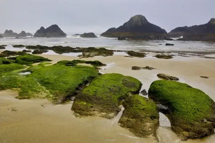Framed Print : USA, Oregon, Seal Rock State Park. Rocky beach at low tide Framed Print : USA, Oregon, Seal Rock State Park. Rocky beach at low tide