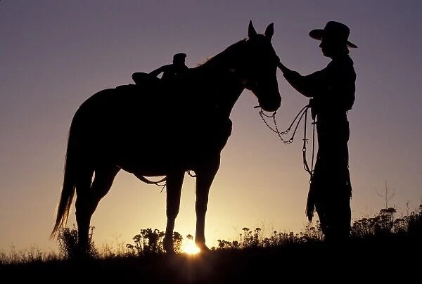 USA, Oregon, Seneca. Cowboy and horse silhouette (MR)