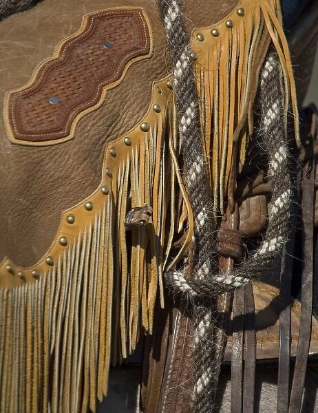 USA, Oregon, Seneca, Ponderosa Ranch. Rope and leather chaps detail