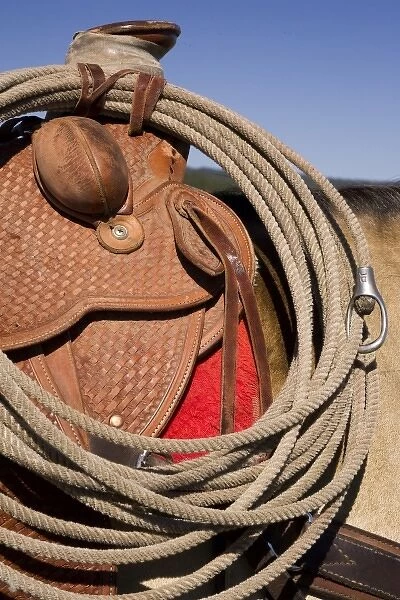 USA, Oregon, Seneca, Ponderosa Ranch. Detail of saddle and rope