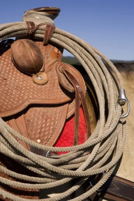 Framed Print : USA, Oregon, Seneca, Ponderosa Ranch. Detail of saddle and rope Framed Print : USA, Oregon, Seneca, Ponderosa Ranch. Detail of saddle and rope