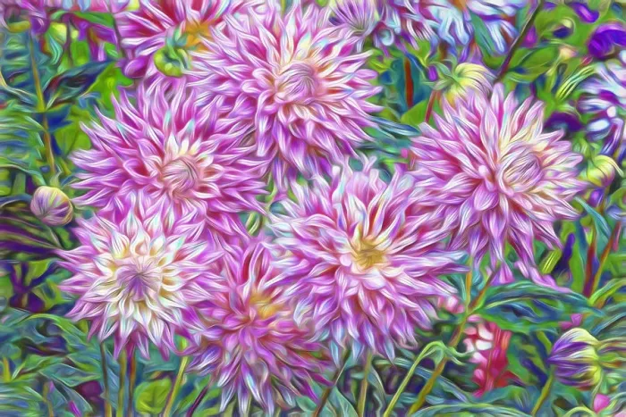 Framed Print : USA, Oregon, Shore Acres State Park. Abstract of dahlia garden Framed Print : USA, Oregon, Shore Acres State Park. Abstract of dahlia garden