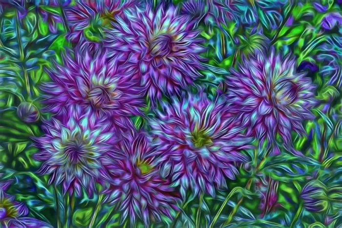 Framed Print : USA, Oregon, Shore Acres State Park. Abstract of dahlias in garden